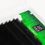 Ресницы черные Le Maitre "Excellent" 20 линий D 0.07 06 mm Ресницы черные Le Maitre "Excellent" 20 линий D 0.07 06 mm