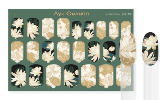 kji8hr4aco5spm1ze6ncdnkp08xn5tkz