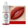 Перманентный пигмент Чили, FACE, 6 мл